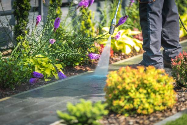 Best Animal Enclosure Cleaning  in North Pekin, IL
