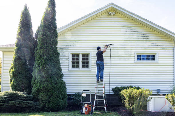 Best Gutter Cleaning  in North Pekin, IL